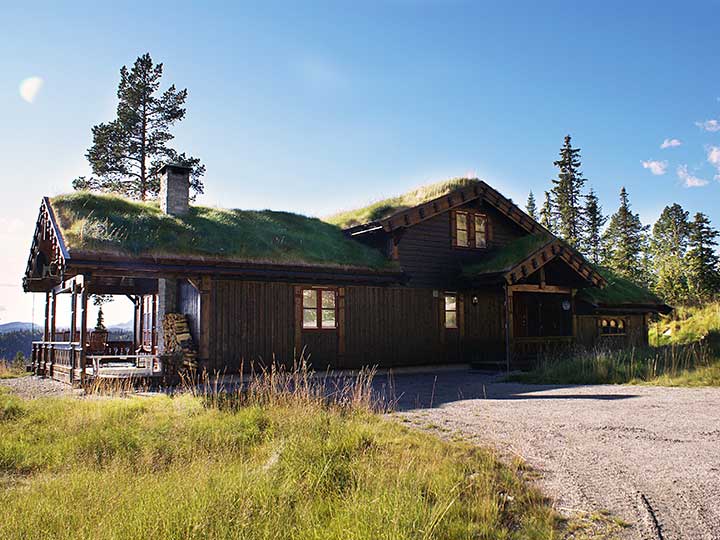 wald bungalow auf skolarkap