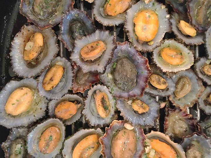 frische muscheln